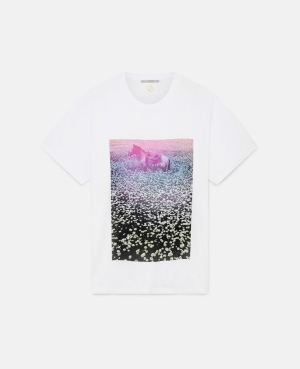 Stella McCartney Lucky Spot in Daisy Field T-shirt Dam Vita | 4716CTMNU