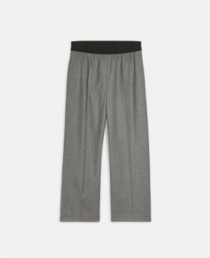 Stella McCartney Tailored Ull Flannel Tailoring Dam Grå | 8760AEPDK