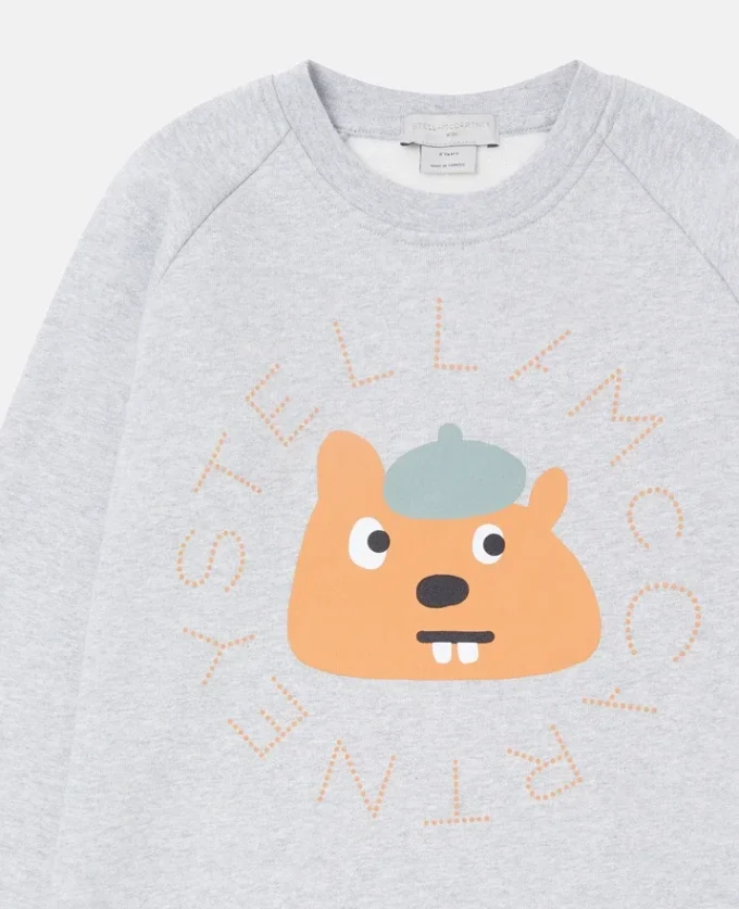 Squirrel Graphic Crewneck Sweatshirt